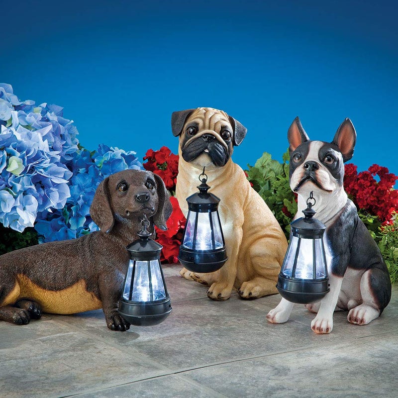 Bits and Pieces - Fawn Pug Solar Lantern Statue - Solar Powered Garden Lantern - Resin Dog Sculpture with LED Light - Outdoor Lighting and DÃ©cor - Image 4